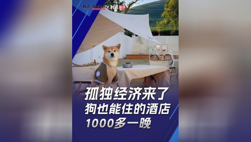 石矶娘娘本人澄清不是行政人员,2025澳门特今晚开奖香港王中王,经济性执行方案剖析_标配版V7.52