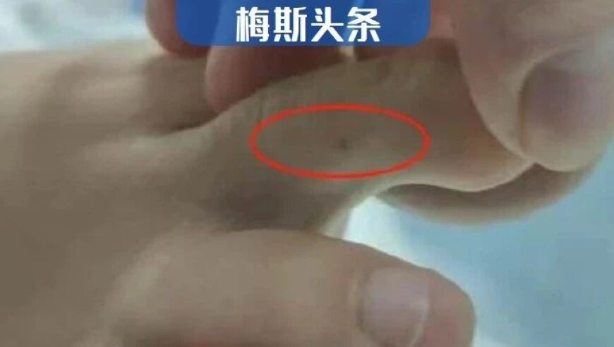 澳门彩历史开奖记着录,默茨宣布获胜 一场大选改变德国政局,精准解释落实及其象征意义_影像版V3.68